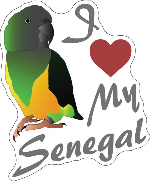 I love my Senegal parrot 2 Vinyl Sticker