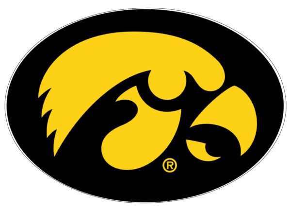 Iowa Hawkeye NCAA Black And Gold Logo Football Sports Team Vinyl Sticker/