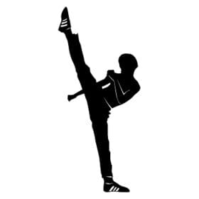 Karate Kid Decal Sticker Martial Art Ju Jit Su Cutout Vinyl Decal