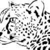 Leopard Head Mascot Cut Out Vinyl Decal