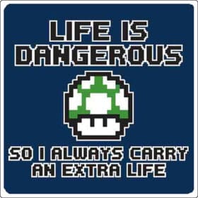 Life-Is-Dangerous-I-Carry-Extra-Life-Vinyl-Sticker