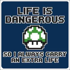 Life-Is-Dangerous-I-Carry-Extra-Life-Vinyl-Sticker