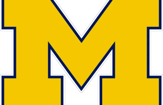 Michigan Wolverines NCAA 1vinyl sticker