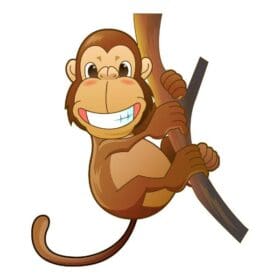 Monkey Wildlife Jungle Wall Window Car Vinyl Sticker Decal