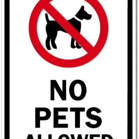 No Pets Allowed Sign Wall Window Car Vinyl Sticker