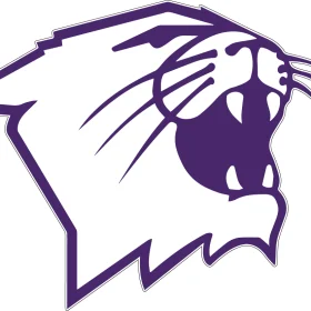 Northwestern Wildcats 2 vinyl sticker