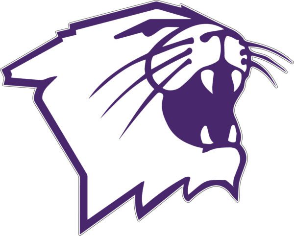 Northwestern Wildcats 2 vinyl sticker