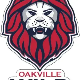 Oakville Wild Soccer Club U2-U18 Ontario Sport Community Canada Youth Team Champions Inclusive Positive Football Experience Personalized Game vinyl sticker