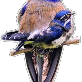 Parent Day Whiskered Treeswift Hemiprocne Comata with Baby Bird Avian Elegance vinyl sticker