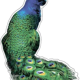 Peacat Peacock Cat Funny Hybrid Animals vinyl sticker