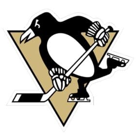 Pittsburgh Penguins Black Stick NHL Team Logo Pritned Vinyl Sticker