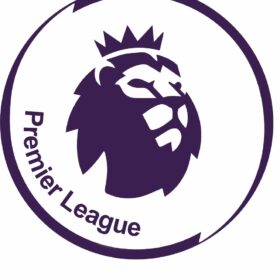 Premier League New New vinyl sticker
