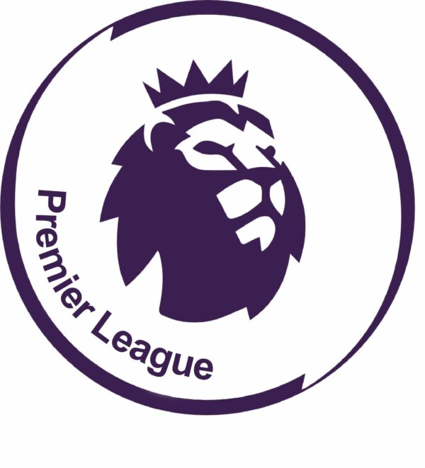 Premier League New New vinyl sticker