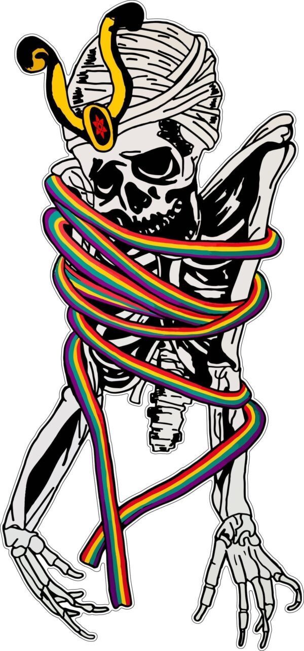 Psychedelic Skeleton Skateboard Logo Powell Peralta Bones Brigade Vinyl Sticker