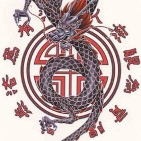 Rare-DRAGON-COIL-FIERCE-SCALED-DRAGON-ASIAN-CAR-Vinyl-STICKER-DECAL