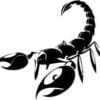 Scorpion Zodiac Sign Cut Out Vinyl Decal