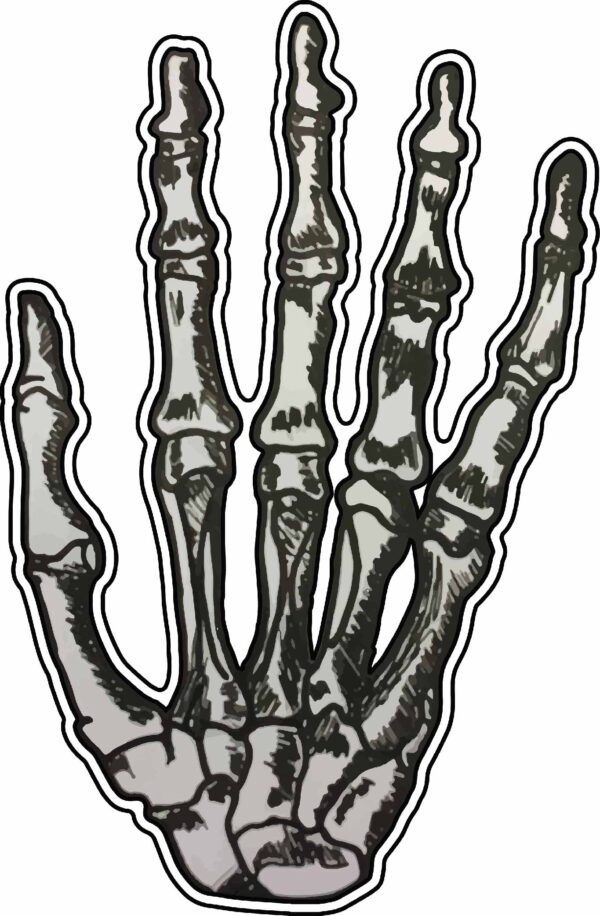Skeleton Hand 5 Finger Dark Brotherhood Death We Know Corpse Goth