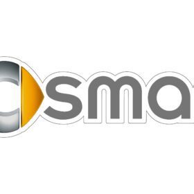 Smart Cars logo vinyl sticker