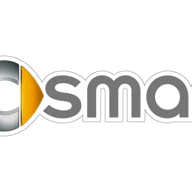Smart Cars logo vinyl sticker
