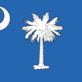South Carolina State Flag Wall Window Car Vinyl Sticker Decal
