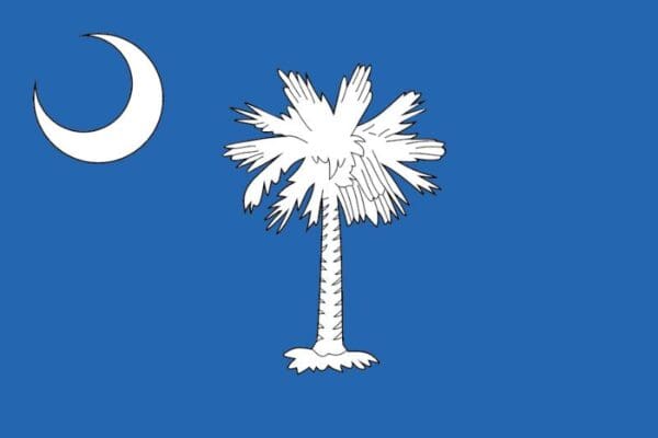 South Carolina State Flag Wall Window Car Vinyl Sticker Decal