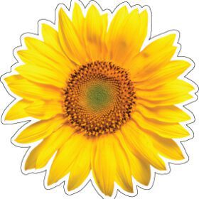 Sunflowers Fresh vinyl sticker