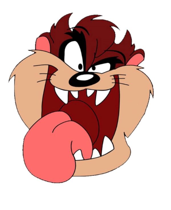 TAZ Tasmanian Devil Looney Tunes Rose vinyl sticker