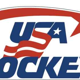 Team USA Hockey American National Flag Patriotic Vintage Art vinyl sticker