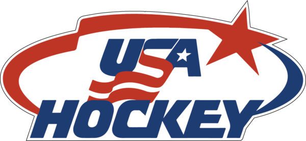 Team USA Hockey American National Flag Patriotic Vintage Art vinyl sticker