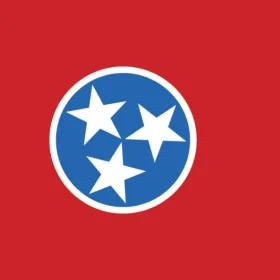 Tennessee State Flag Wall Window Car Vinyl Sticker Decal