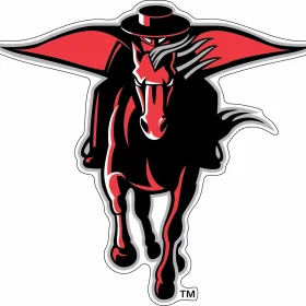 Texas Tech Red Raiders NCAA vinyl sticker