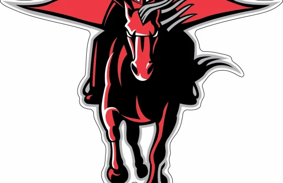 Texas Tech Red Raiders NCAA vinyl sticker