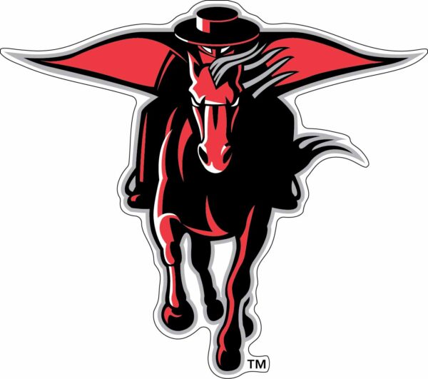 Texas Tech Red Raiders NCAA vinyl sticker