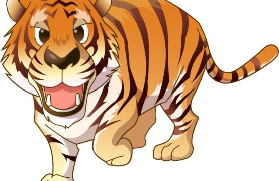 Tiger Wildlife Jungle Wall Window Car Vinyl Sticker Decal