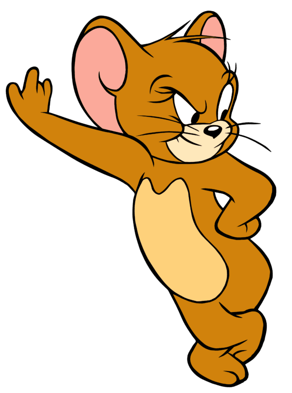 Tom And Jerry Cartoon vinyl sticker printed