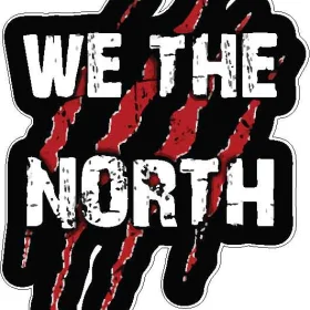 Toronto Raptors We The North Claws Ball vinyl
