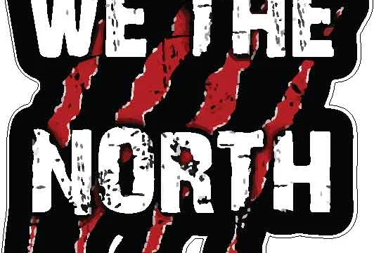 Toronto Raptors We The North Claws Ball vinyl