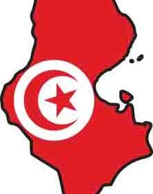 Tunisia SILHOUETTE MAP FLAG Vinyl Sticker