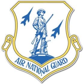 US Air Force Air National Guard Emblem Sticker Decal
