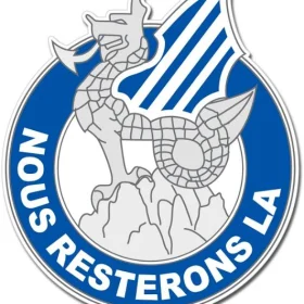 US Army Infantry 3rd Division Blue and White Devils Emblem Sticker Decal