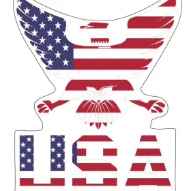 USA Patriotic American Flag Bald Eagle Freedom Symbol Stars and Stripes Independence Vintage American Art vinyl sticker