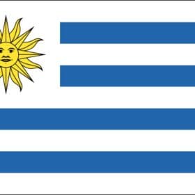 Uruguay Standard Flag Wall Window Car Vinyl Sticker Decal