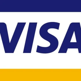 Visa Payment Card Vinyl sticker