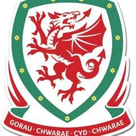 Wales Football Ass. Team Crest Wall Window Car Sticker Decal
