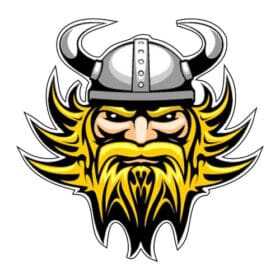Warrior-Viking-Scandinavian-heroic-Horned-helmet-Printed-Vinyl-Sticker