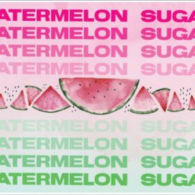 Watermelon-Sugar-vinyl-sticker