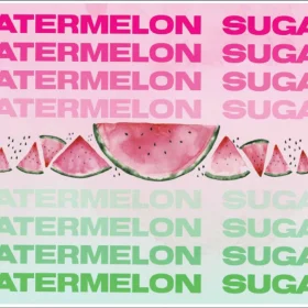 Watermelon-Sugar-vinyl-sticker