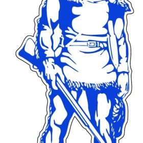 West Virginia Mountaineers NCCA vinyl sticker