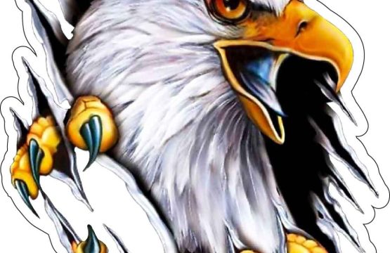 White King Eagle Ferocious Sky Dominator Tearing Through Heavens With Mighty Sharp Claws Vinyl Sticker