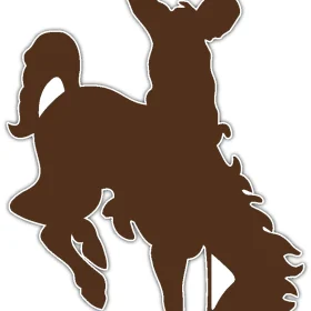 Wyoming Cowboys NCAA Logo vinyl sticker